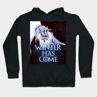 Winter Has Come Hoodie